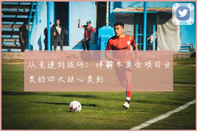 从竞速到技巧：详解冬奥会项目分类的四大核心类别