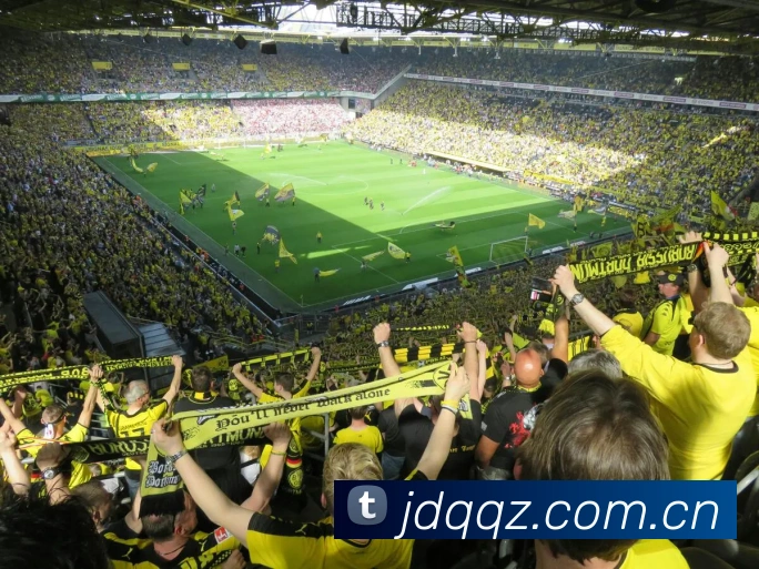 多媒体互动体验